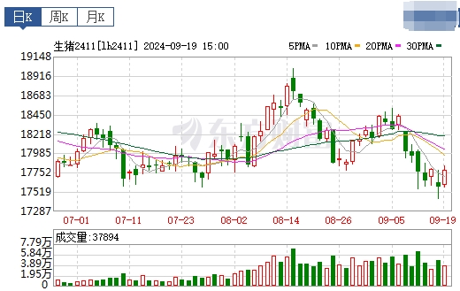 今日猪价 | 2024.09.20 猪价行情——多数下跌,再跌至近2个多月最低价