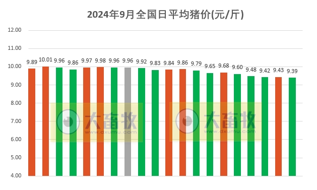 今日猪价 | 2024.09.20 猪价行情——多数下跌,再跌至近2个多月最低价