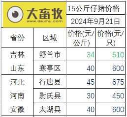 今日猪价 | 2024.09.21 猪价行情——大多数下跌