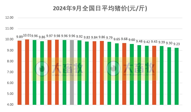 今日猪价 | 2024.09.22 猪价行情——连续3天下跌
