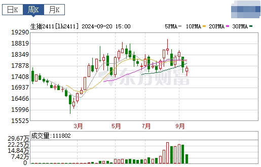 今日猪价 | 2024.09.22 猪价行情——连续3天下跌