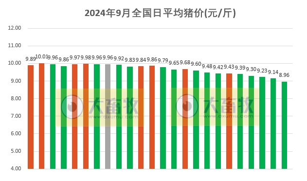 今日猪价 | 2024.09.24 猪价行情——一路飘绿,有21省跌破9元