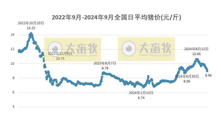 今日猪价 | 2024.09.24 猪价行情——一路飘绿,有21省跌破9元