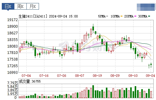 今日猪价 | 2024.09.25 猪价行情——止跌上涨,其中华北东北全面上涨