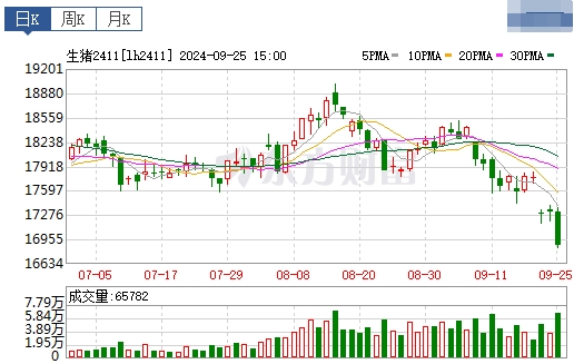 今日猪价 | 2024.09.26 猪价行情——一路飘红,再次突破9元