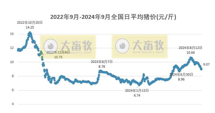 今日猪价 | 2024.09.26 猪价行情——一路飘红,再次突破9元