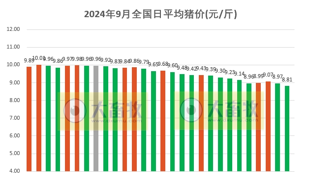 今日猪价 | 2024.09.28 猪价行情——一路飘绿，跌至近3个月最低价