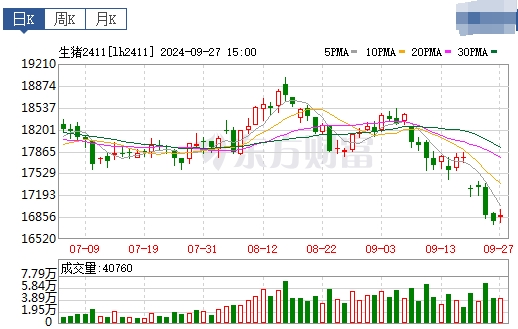今日猪价 | 2024.09.28 猪价行情——一路飘绿，跌至近3个月最低价