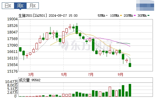 今日猪价 | 2024.09.29 猪价行情——北涨南跌