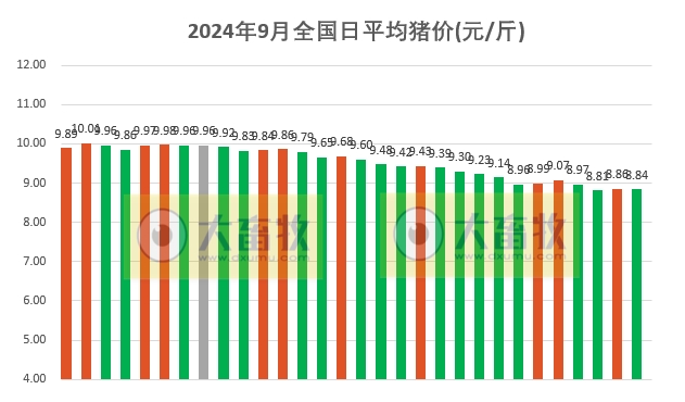 2024年9月全国平均猪价，结束连续5个月环比上涨，且跌破10元大关