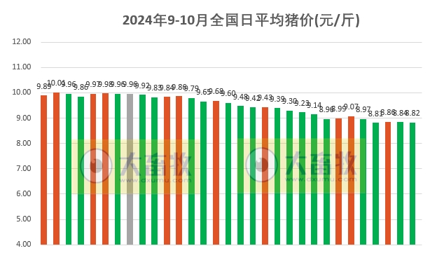 今日猪价 | 2024.10.01 猪价行情