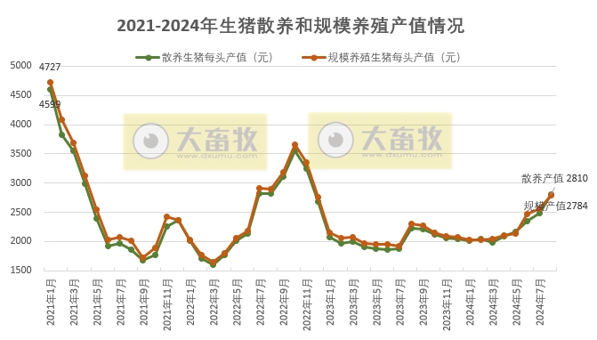 2024年8月全国生猪行业数据汇总