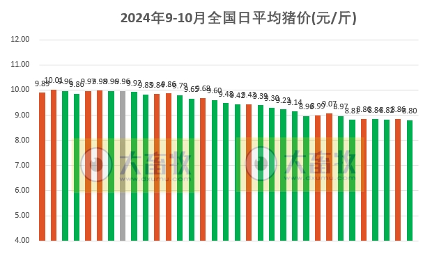 今日猪价 | 2024.10.03 猪价行情——大多数出现下跌