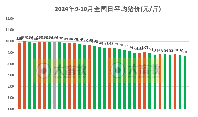 今日猪价 | 2024.10.04 猪价行情——一路飘绿，跌至近百天最低价