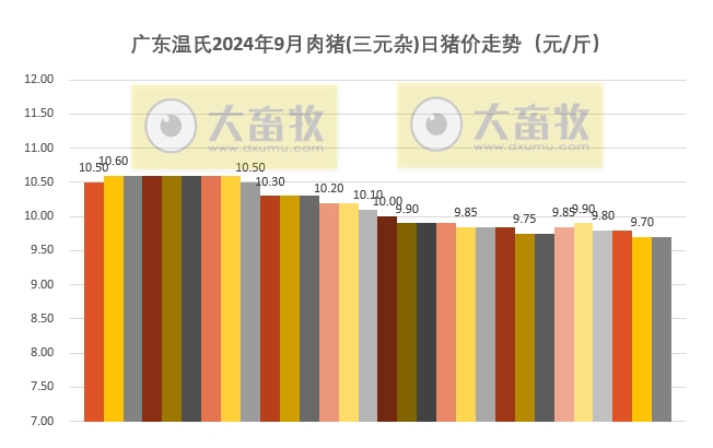广东温氏2024年9月猪价