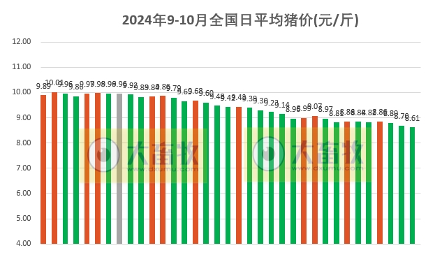 今日猪价 | 2024.10.05 猪价行情——全面下跌，跌至近4个多月最低价