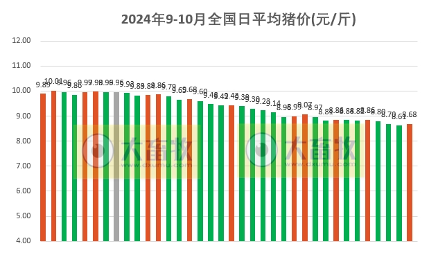 今日猪价 | 2024.10.06 猪价行情——大多数止跌上涨