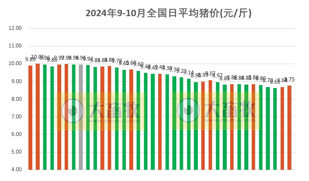 今日猪价 | 2024.10.07 猪价行情——继续上涨,一路飘红
