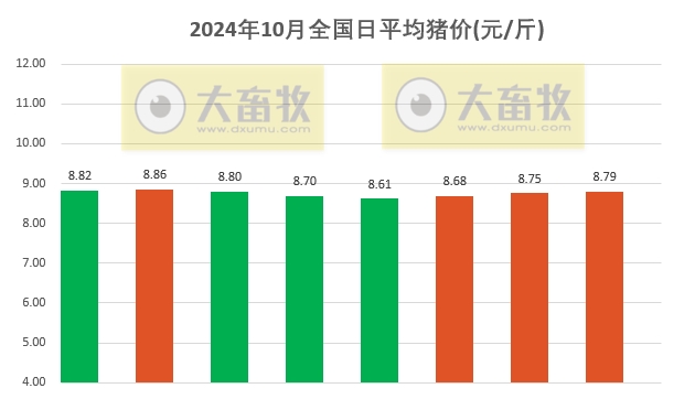 今日猪价 | 2024.10.08 猪价行情——大多数继续上涨