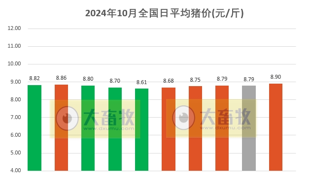 今日猪价 | 2024.10.10 猪价行情——一路飘红,18省突破9元
