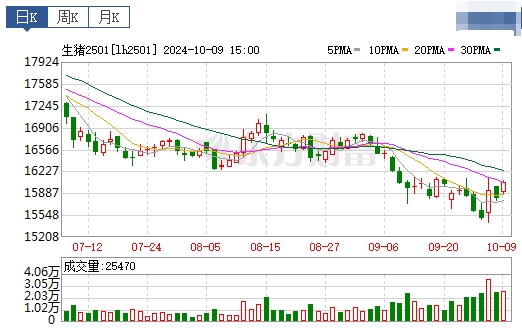 今日猪价 | 2024.10.10 猪价行情——一路飘红,18省突破9元