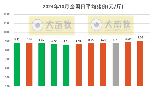 今日猪价 | 2024.10.11 猪价行情——满堂红，25省突破9元