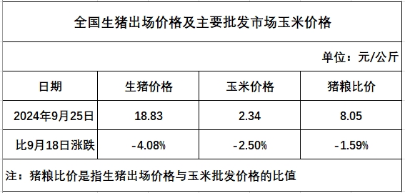 发改委：猪价连续6周下跌，叠加月末月初规模养殖场出栏减少，猪价将逐步止跌——2024年9月第4周全国猪粮比及猪价分析预测
