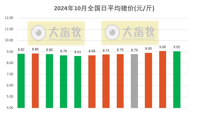 今日猪价 | 2024.10.12 猪价行情——以稳为主