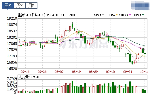 今日猪价 | 2024.10.12 猪价行情——以稳为主