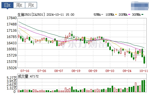 今日猪价 | 2024.10.12 猪价行情——以稳为主