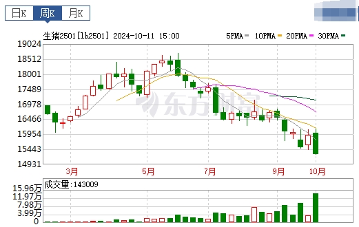 今日猪价 | 2024.10.13 猪价行情——大多数下跌