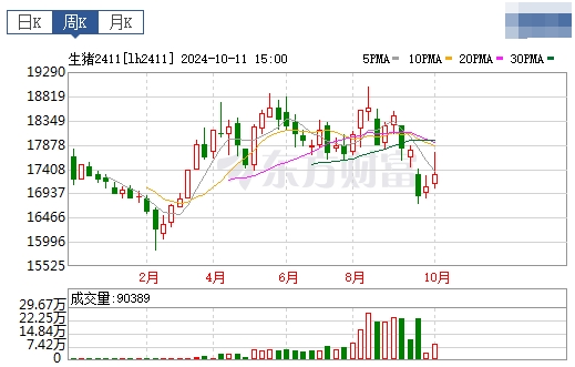 今日猪价 | 2024.10.13 猪价行情——大多数下跌