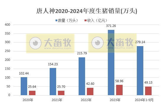 正邦、唐人神、中粮和天康2024年9月及前三季度生猪销售情况