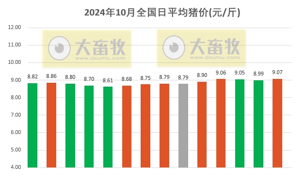 今日猪价 | 2024.10.14 猪价行情——大多数止跌上涨，涨至10月以来最高价