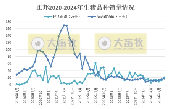 正邦、唐人神、中粮和天康2024年9月及前三季度生猪销售情况
