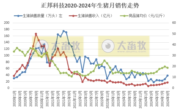 正邦、唐人神、中粮和天康2024年9月及前三季度生猪销售情况