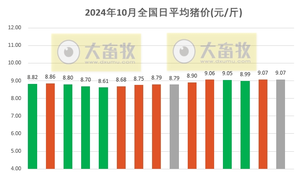 今日猪价 | 2024.10.15 猪价行情——以稳为主