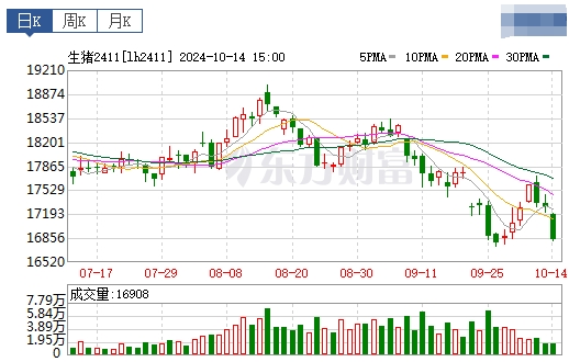 今日猪价 | 2024.10.15 猪价行情——以稳为主