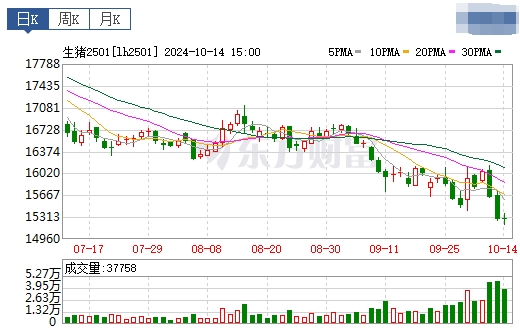 今日猪价 | 2024.10.15 猪价行情——以稳为主