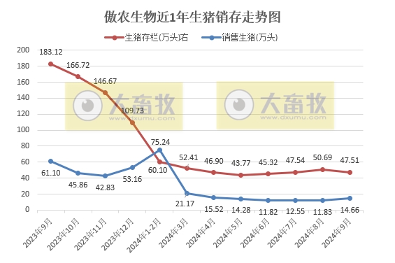 京基、神农和傲农2024年9月及前三季度生猪销售情况