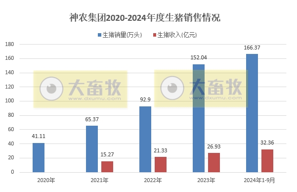 京基、神农和傲农2024年9月及前三季度生猪销售情况