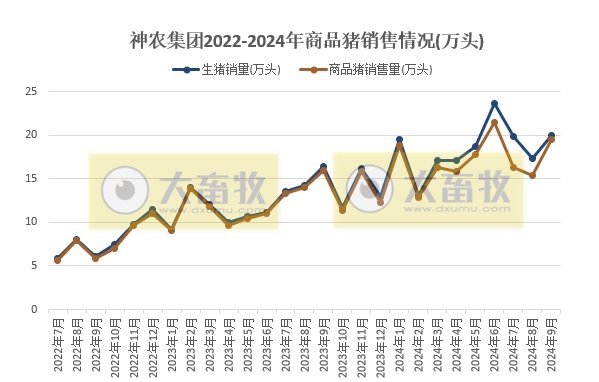 京基、神农和傲农2024年9月及前三季度生猪销售情况