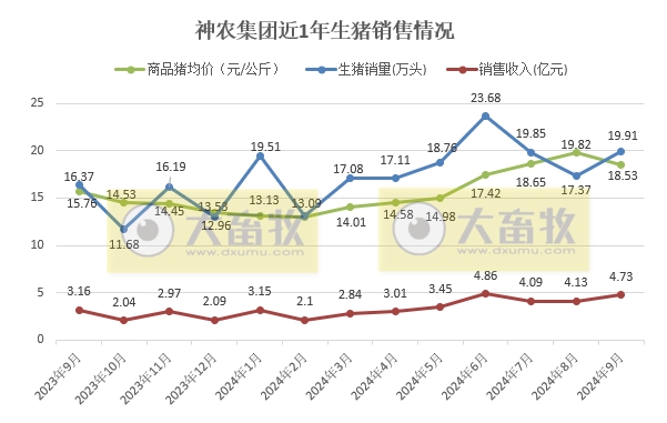 京基、神农和傲农2024年9月及前三季度生猪销售情况