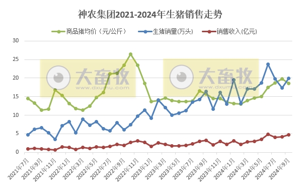 京基、神农和傲农2024年9月及前三季度生猪销售情况