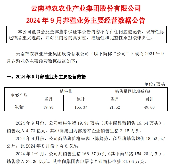 京基、神农和傲农2024年9月及前三季度生猪销售情况