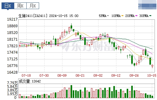 今日猪价 | 2024.10.16 猪价行情——大多数下跌