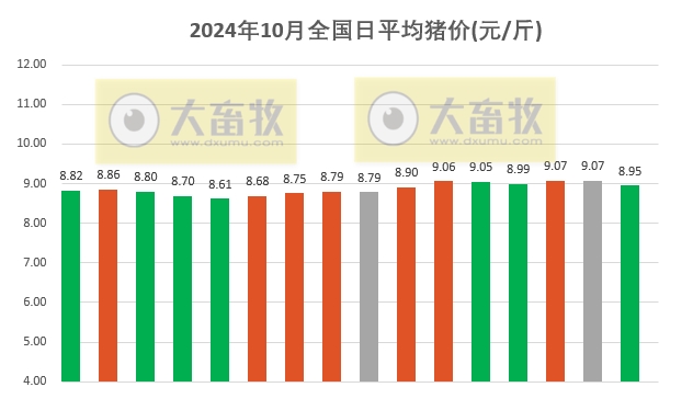 今日猪价 | 2024.10.16 猪价行情——大多数下跌