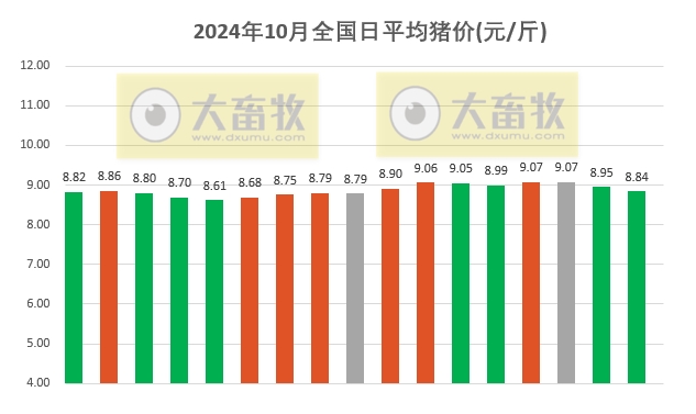 今日猪价 | 2024.10.17 猪价行情——一路飘绿，23省跌破9元