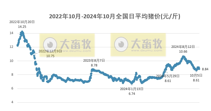 今日猪价 | 2024.10.17 猪价行情——一路飘绿，23省跌破9元