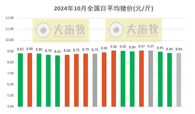 今日猪价 | 2024.10.18 猪价行情——涨跌互现